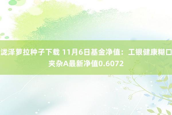 泷泽萝拉种子下载 11月6日基金净值：工银健康糊口夹杂A最新净值0.6072