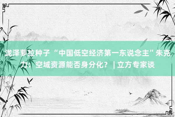 泷泽萝拉种子 “中国低空经济第一东说念主”朱克力：空域资源能否身分化？ | 立方专家谈