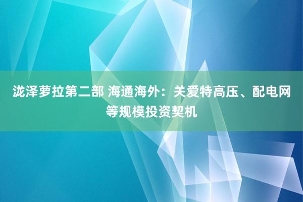 泷泽萝拉第二部 海通海外：关爱特高压、配电网等规模投资契机