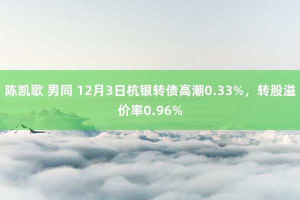 陈凯歌 男同 12月3日杭银转债高潮0.33%，转股溢价率0.96%