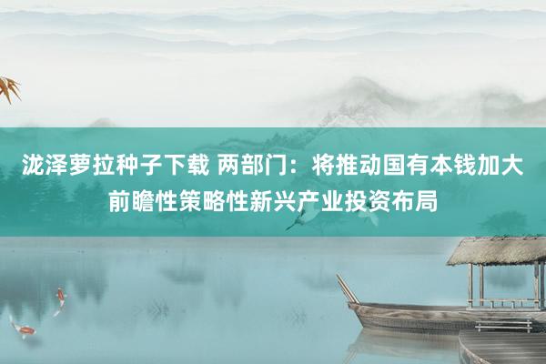 泷泽萝拉种子下载 两部门：将推动国有本钱加大前瞻性策略性新兴产业投资布局