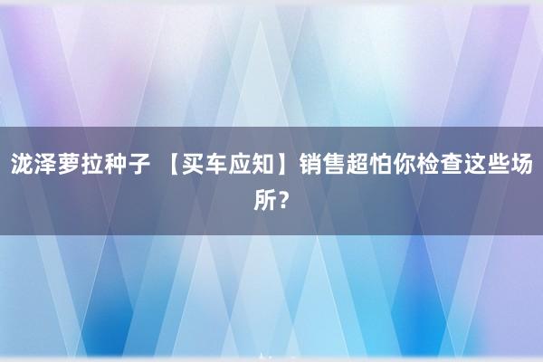 泷泽萝拉种子 【买车应知】销售超怕你检查这些场所？