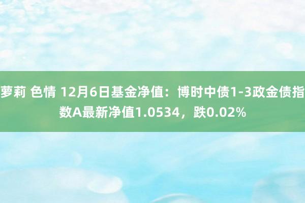 萝莉 色情 12月6日基金净值：博时中债1-3政金债指数A最新净值1.0534，跌0.02%