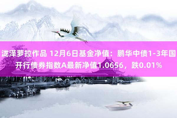 泷泽萝拉作品 12月6日基金净值：鹏华中债1-3年国开行债券指数A最新净值1.0656，跌0.01%