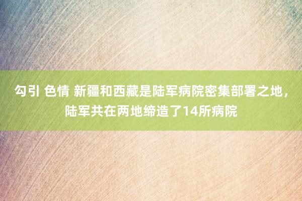 勾引 色情 新疆和西藏是陆军病院密集部署之地，陆军共在两地缔造了14所病院