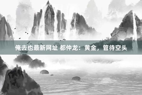 俺去也最新网址 都仲龙：黄金，管待空头