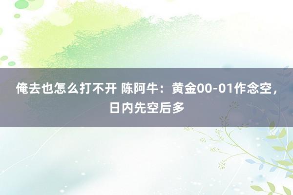 俺去也怎么打不开 陈阿牛：黄金00-01作念空，日内先空后多