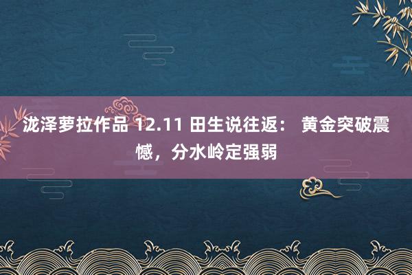 泷泽萝拉作品 12.11 田生说往返： 黄金突破震憾，分水岭定强弱