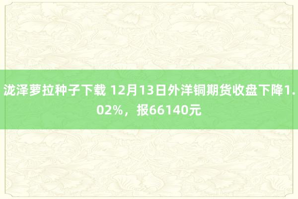 泷泽萝拉种子下载 12月13日外洋铜期货收盘下降1.02%，报66140元