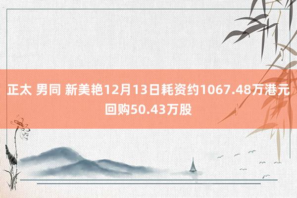 正太 男同 新美艳12月13日耗资约1067.48万港元回购50.43万股