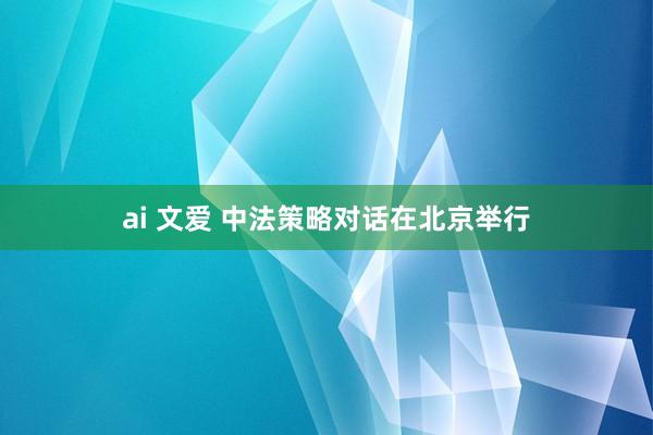 ai 文爱 中法策略对话在北京举行