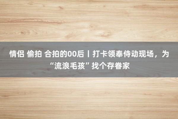 情侣 偷拍 合拍的00后丨打卡领奉侍动现场，为“流浪毛孩”找个存眷家