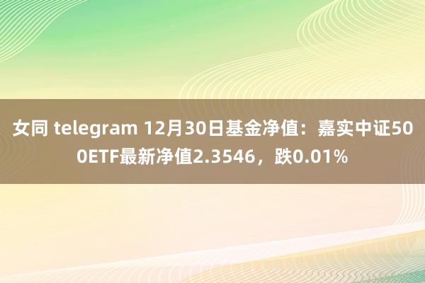 女同 telegram 12月30日基金净值：嘉实中证500ETF最新净值2.3546，跌0.01%