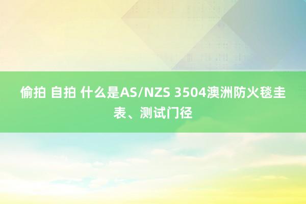 偷拍 自拍 什么是AS/NZS 3504澳洲防火毯圭表、测试门径