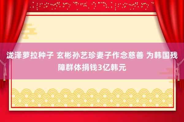 泷泽萝拉种子 玄彬孙艺珍妻子作念慈善 为韩国残障群体捐钱3亿韩元