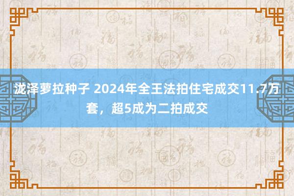 泷泽萝拉种子 2024年全王法拍住宅成交11.7万套，超5成为二拍成交