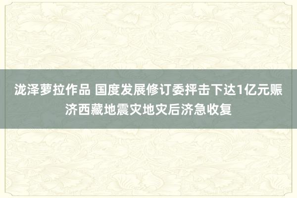 泷泽萝拉作品 国度发展修订委抨击下达1亿元赈济西藏地震灾地灾后济急收复