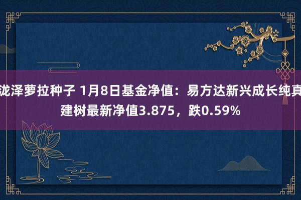 泷泽萝拉种子 1月8日基金净值：易方达新兴成长纯真建树最新净值3.875，跌0.59%