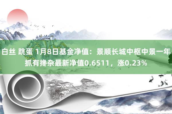 白丝 跳蛋 1月8日基金净值：景顺长城中枢中景一年抓有搀杂最新净值0.6511，涨0.23%