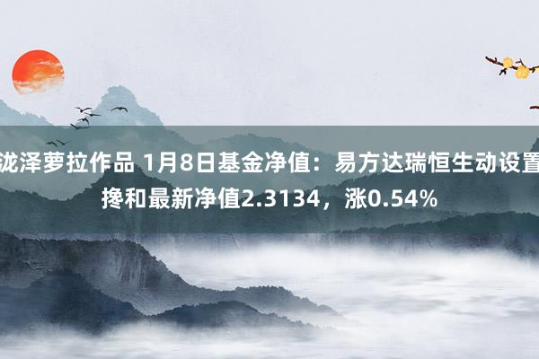 泷泽萝拉作品 1月8日基金净值：易方达瑞恒生动设置搀和最新净值2.3134，涨0.54%