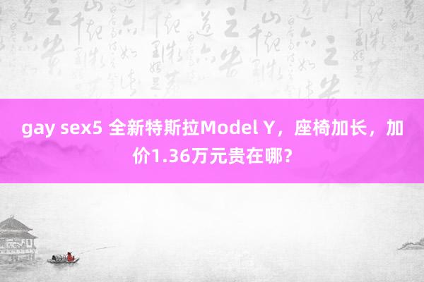 gay sex5 全新特斯拉Model Y，座椅加长，加价1.36万元贵在哪？