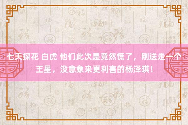 七天探花 白虎 他们此次是竟然慌了，刚送走一个王星，没意象来更利害的杨泽琪！