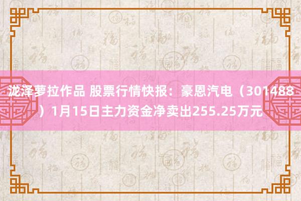 泷泽萝拉作品 股票行情快报：豪恩汽电（301488）1月15日主力资金净卖出255.25万元