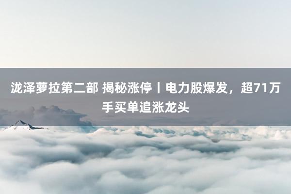 泷泽萝拉第二部 揭秘涨停丨电力股爆发，超71万手买单追涨龙头