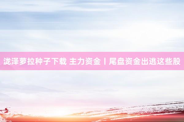 泷泽萝拉种子下载 主力资金丨尾盘资金出逃这些股